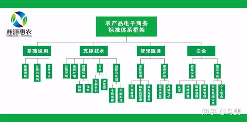 構(gòu)建智能引領(lǐng)的農(nóng)產(chǎn)品電商標(biāo)準(zhǔn)體系 標(biāo)準(zhǔn)化、系統(tǒng)化與工程化路徑